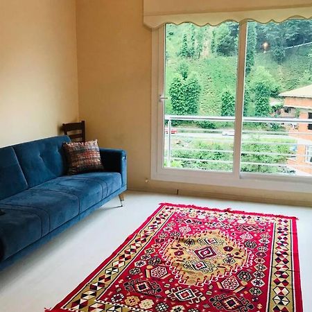 River Side Placed Suit House Secer Apart Çamlıhemşin Bagian luar foto
